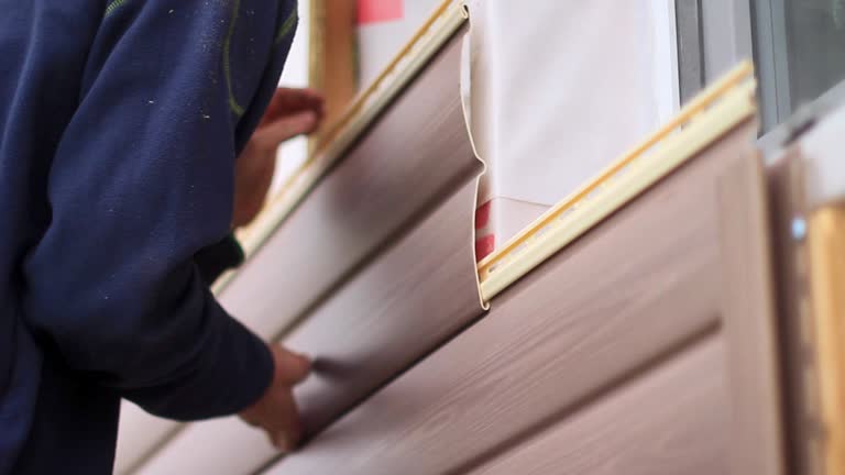 Best Dumpster Rental Services  in Ddleville, MI